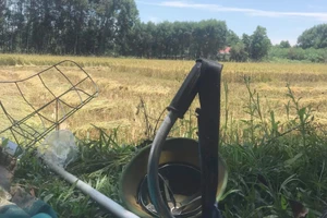 Thương tâm, một nông dân bị sét đánh tử vong khi đang gặt lúa 