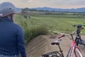 Bé gái đi chăn bò bị sét đánh, cả bò và người tử vong 