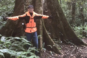 Phát hiện thi thể nam du khách ở rừng Cúc Phương