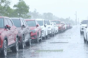 Tránh bão số 10, nhiều người dân ở Nghệ An đưa ô tô ra đỗ bên đường