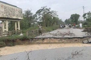 Nghệ An: Nước sông Vinh dâng cao gây nứt gãy đường Vĩnh Giang