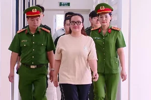 Khởi tố Hoàng Hường và 5 người khác vì vi phạm quy định về kế toán