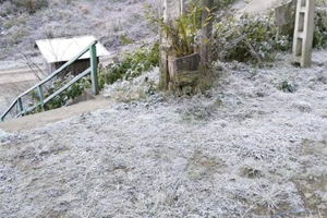 Nhiệt độ xuống dưới 0 độ C, xuất hiện băng giá ở miền núi Nghệ An 