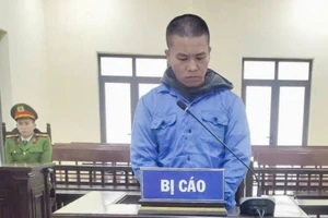 Lãnh án vì ép vợ chồng giám đốc 'trả nợ ân tình' bằng ô tô điện