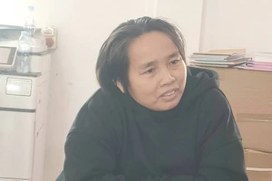 Khởi tố 1 phụ nữ ở Nghệ An lợi dụng các quyền tự do dân chủ 