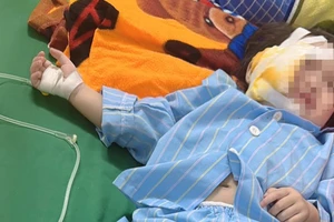 Vụ trần thạch cao nhà trường sập làm học sinh bị thương: Phụ huynh cho biết sẽ kiện ra toà