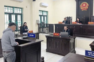 Bắt trộm 21 con gà về nuôi thả ăn dần, lĩnh án tù giam