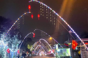 Dựng cây nêu đón Tết, một phụ nữ bị điện giật nguy kịch