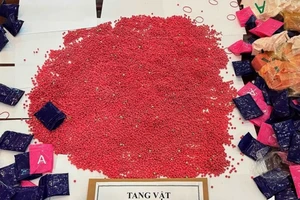 Vận chuyển thuê ba lô chứa 24.000 viên hồng phiến lấy 30 triệu thì bị bắt