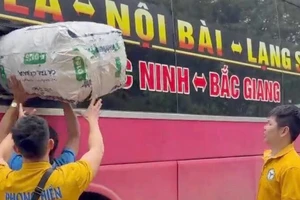 Quản lý thị trường giải thích việc tạm giữ 9 bao xác ve sầu sau clip trên mạng