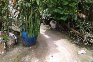 Chỉ đạo vụ cãi lệnh tòa, kê chậu cây chặn lối đi cả xóm