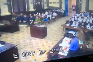 VKS đề nghị bác toàn bộ kháng cáo kêu oan của bà Phấn