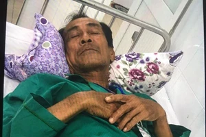 Tòa yêu cầu điều tra bổ sung, VKS bảo không cần thiết