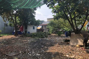 Một vụ kiện dân sự, hai lần thua, hai lần thắng