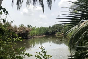 Tòa ngừng xử để xem xét cái ao tranh chấp