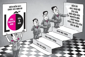 1 vụ án, cả 3 cấp tòa đều xử không chuẩn