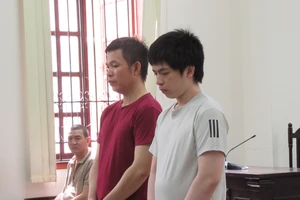 Kẻ trộm trái châu ở Lăng Ông Bà Chiểu bị phạt 7,5 năm tù