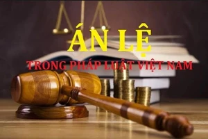 6 dự thảo án lệ về hình sự đang được lấy ý kiến