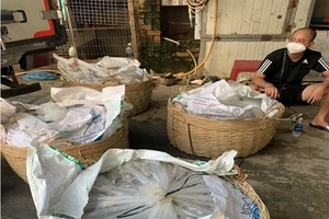 Giám đốc thẩm hủy án vì tòa xử quá nhẹ