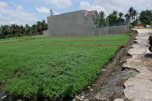 Tự chia đất rồi chuyển nhượng phần diện tích không đủ điều kiện tách thửa có được không?