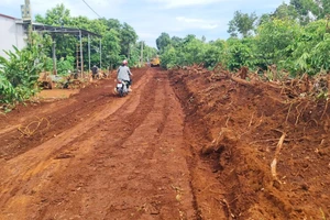 Rút kinh nghiệm cách giải quyết một vụ tranh chấp đất cấp giám đốc thẩm hủy án