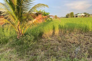 Rút kinh nghiệm cách giải quyết một vụ án có chứng cứ là các đoạn video, ghi âm