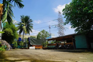 Mua đất được cấp sổ hồng hơn 8 năm thì bị tòa tuyên hủy 