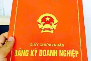 Kiện hủy giấy chứng nhận đăng ký doanh nghiệp vì hồ sơ giả mạo