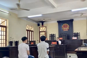 Vụ làm giả văn bằng, chứng chỉ ở quận 12, TP.HCM: Bác đề nghị đổi kiểm sát viên của bị cáo