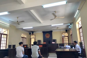 Tuyên án vụ làm giả văn bằng, chứng chỉ ở quận 12, TP.HCM