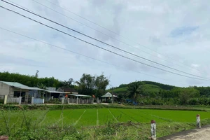 Thông báo thụ lý vụ án là căn cứ ngăn chặn chuyển dịch nhà đất?