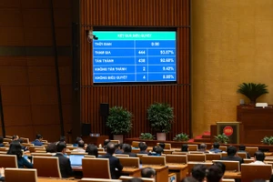 Cần xây dựng tòa án chuyên biệt theo mô hình 'mở có kiểm soát'