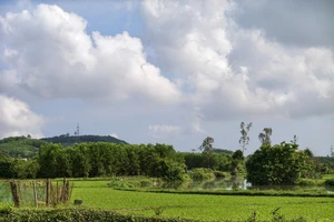 Án lệ về xác định tài sản chung của vợ chồng trước khi đăng ký kết hôn