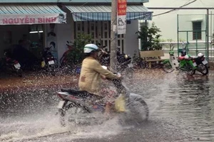 Xuất hiện 'cơn mưa vàng' ở Cần Thơ