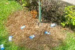 Chơi công viên, bé trai 10 tuổi bị điện giật tử vong