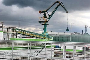 Một góc nhà máy giấy Lee&Man Việt Nam