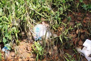 Tìm thấy nạn nhân vụ chìm ghe trên sông Tiền