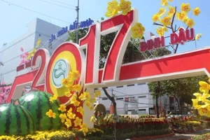 Chùm ảnh đường hoa 6 tỉ đồng ở Cần Thơ trước giờ mở cửa