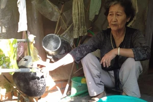 vòi nước hộ dân nửa tháng nay chẳng có lấy một giọt nước