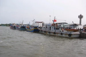 Người miền Tây đi Côn Đảo bằng tàu cao tốc