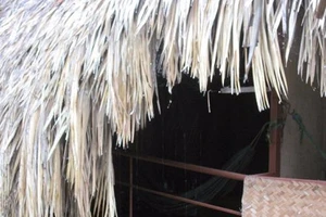 Ân ái trong cà phê chòi rồi lột nhẫn của bạn tình