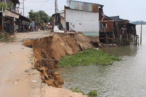 Sạt lở tại An Giang: Trường tiểu học có thể di dời
