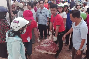 Thịt heo đại hạ giá, dân Cần Thơ chen nhau mua 