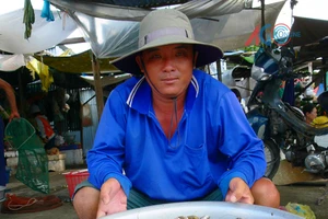 An Giang cấm ngư dân khai thác, đánh bắt cá linh non 