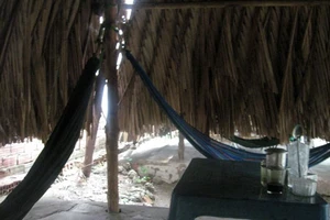 Đôi nam nữ chết trong quán cà phê chòi