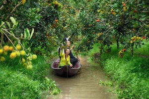 Dạo chợ nổi Phong Điền nghe tài tử, nếm ẩm thực dân dã