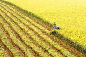  'Hội nghị Diên Hồng ĐBSCL' bàn nhiều vấn đề thiết yếu