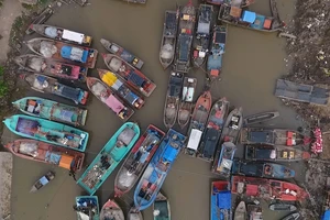 Chạy đua với thời gian ứng phó bão Tembin ở Sóc Trăng