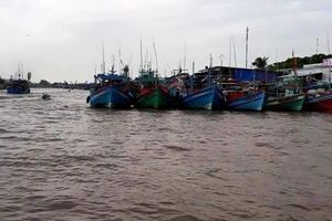 Hơn 1.000 tàu trú tránh bão tại âu thuyền Ngọc Hiển 