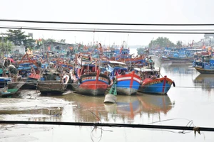 Bộ Tư lệnh QK9 kiểm tra chuẩn bị ứng phó bão Tembin